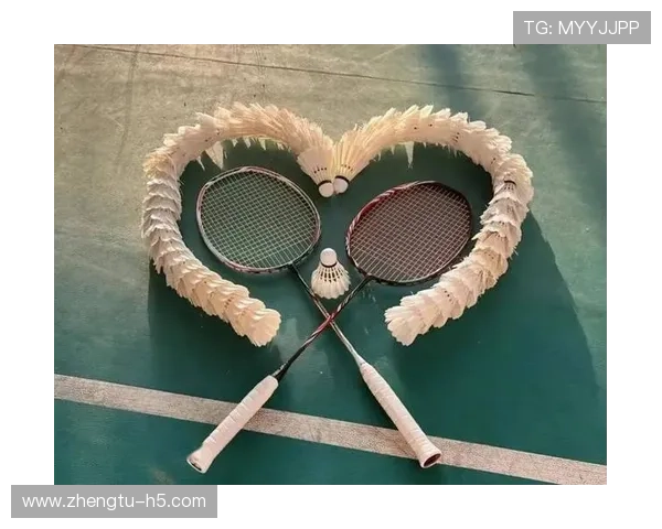 爱羽直播平台：羽毛球爱好者的专属互动天地